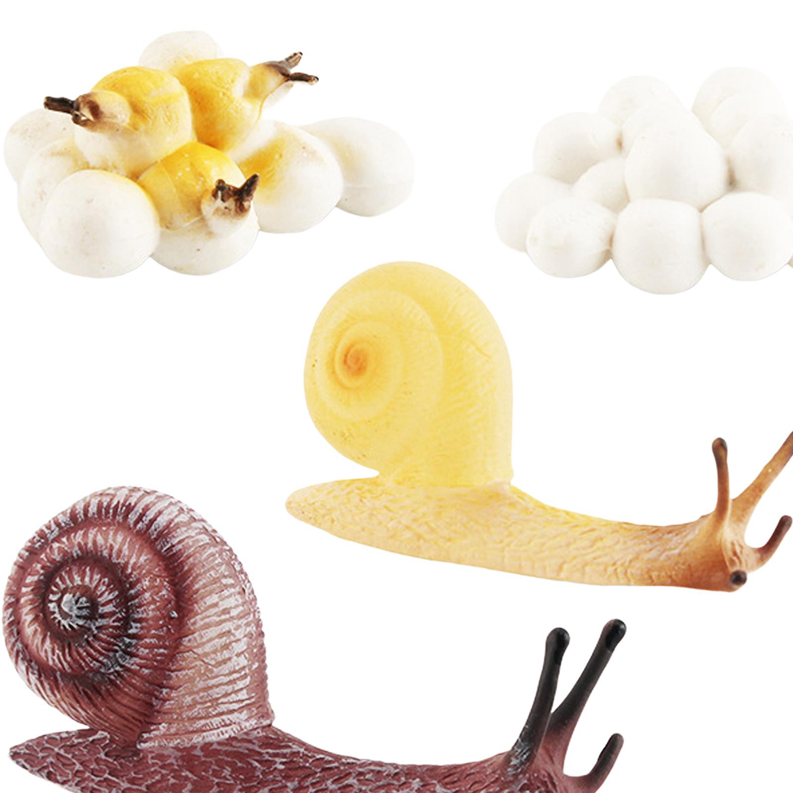 Erken Eğitim Yaşam Döngüsü Tep - Kids Toys Cycle incelemesi ve fiyatı