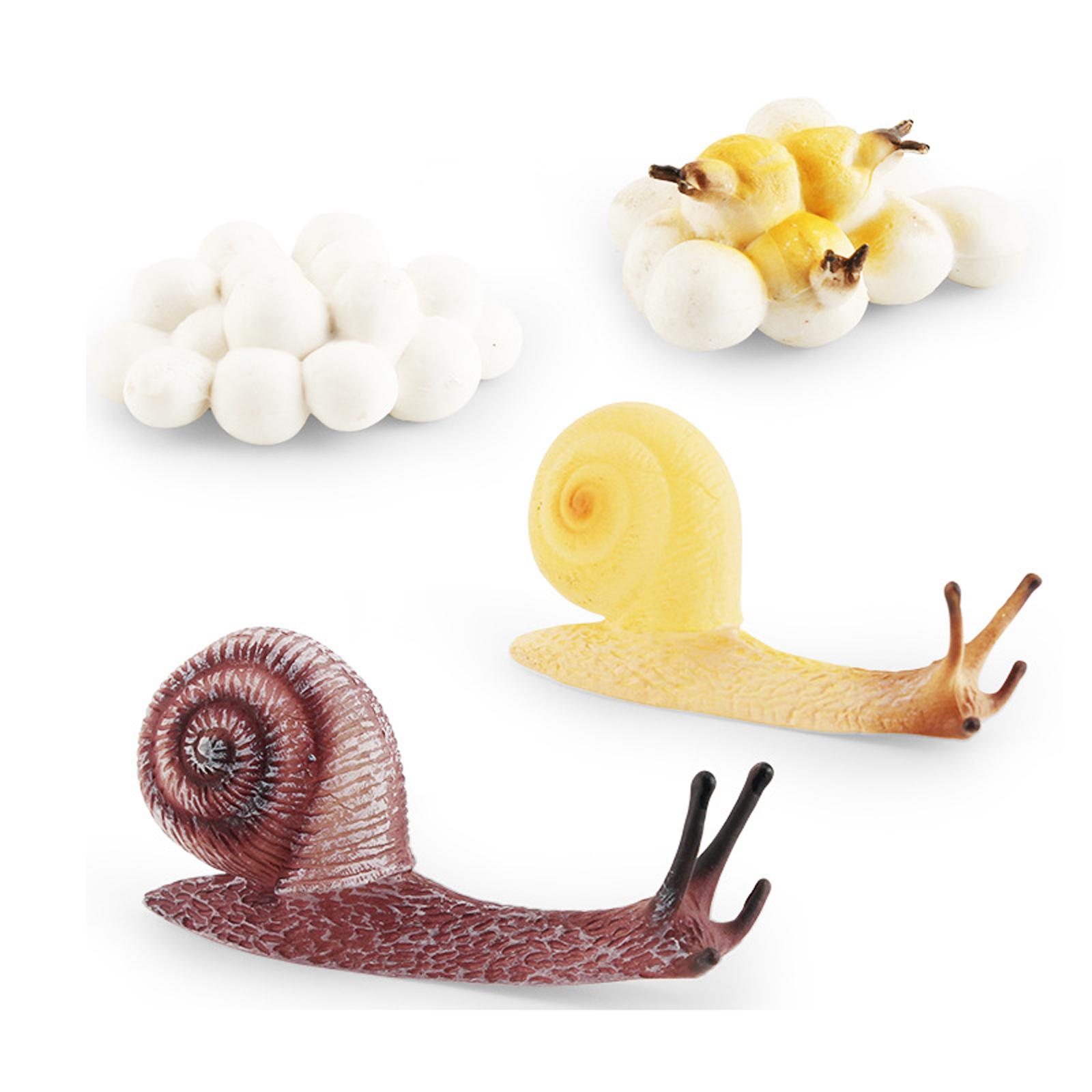 Erken Eğitim Yaşam Döngüsü Tep - Kids Toys Cycle incelemesi ve fiyatı