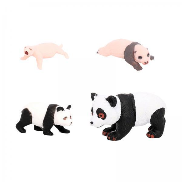 4x 4x Panda Hayvan Yaşam Döngü - Kids Toys Cycle incelemesi ve fiyatı