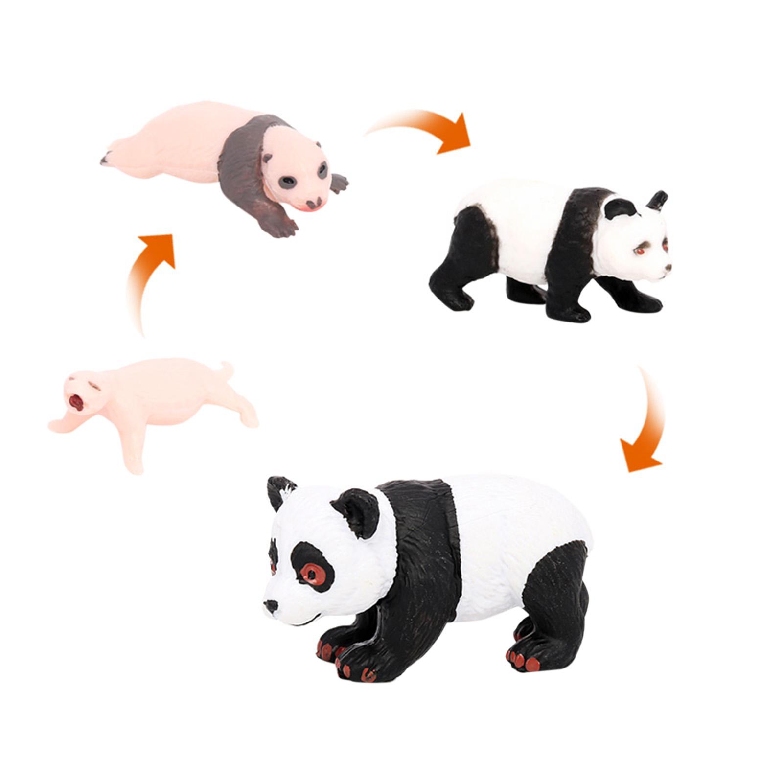 4x 4x Panda Hayvan Yaşam Döngü - Kids Toys Cycle incelemesi ve fiyatı