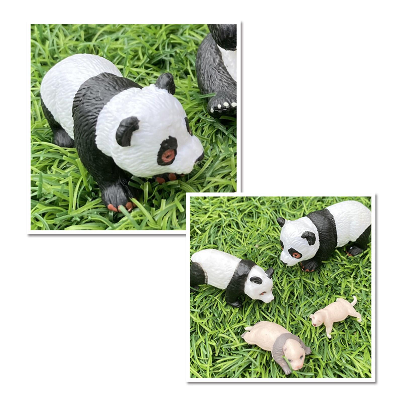 4x 4x Panda Hayvan Yaşam Döngü - Kids Toys Cycle incelemesi ve fiyatı